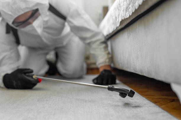 Professional Termite Control technician working in North Patchogue, NY