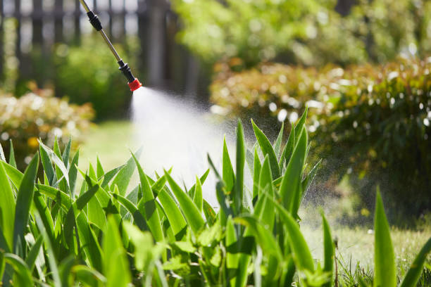 24/7 Emergency Termite Control experts in North Patchogue, NY